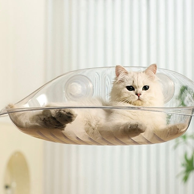 Clear Suction Cup Cat Window Bubble Bed – Single or 2-Pack