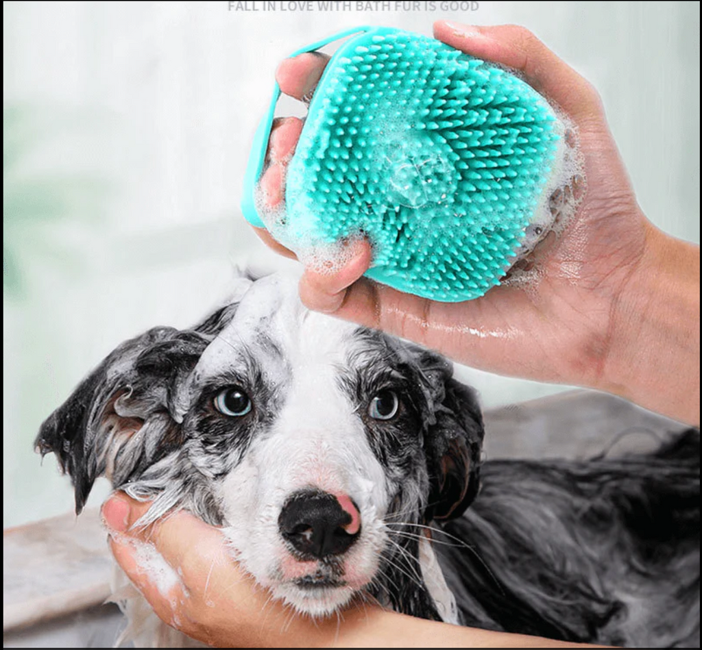 Silicone Pet Bath and Massage Brush – 3 Colors