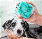 Silicone Pet Bath and Massage Brush – 3 Colors