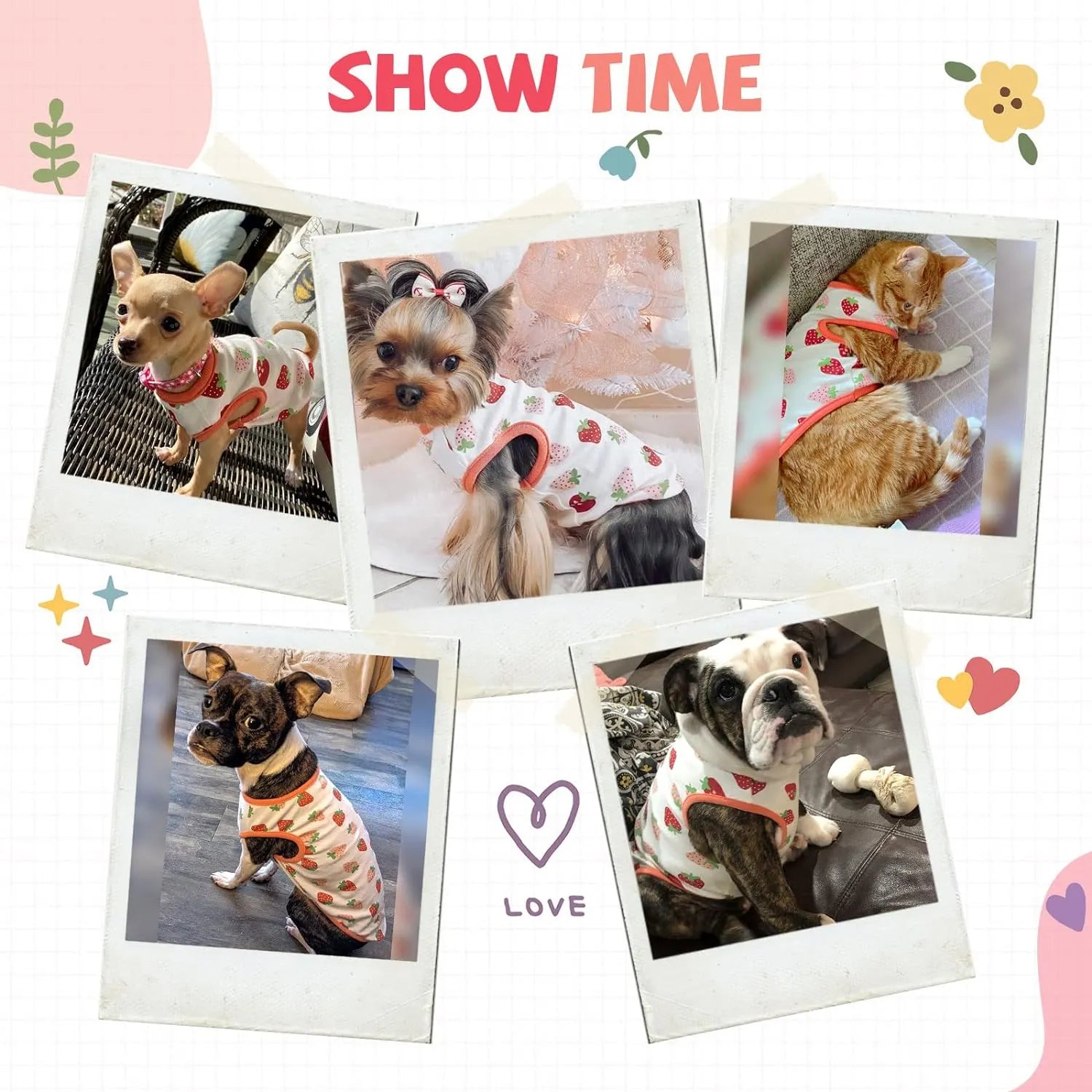 Lightweight Printed T-Shirt for Small Dogs – 10 Styles