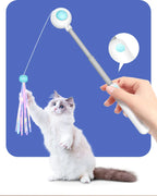 Retractable Cat Teaser Wand with 2 Attachments