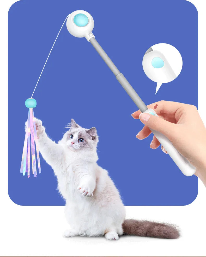 Retractable Cat Teaser Wand with 2 Attachments
