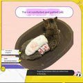 Plush Cat Comfort Pillow & Cuddle Toy
