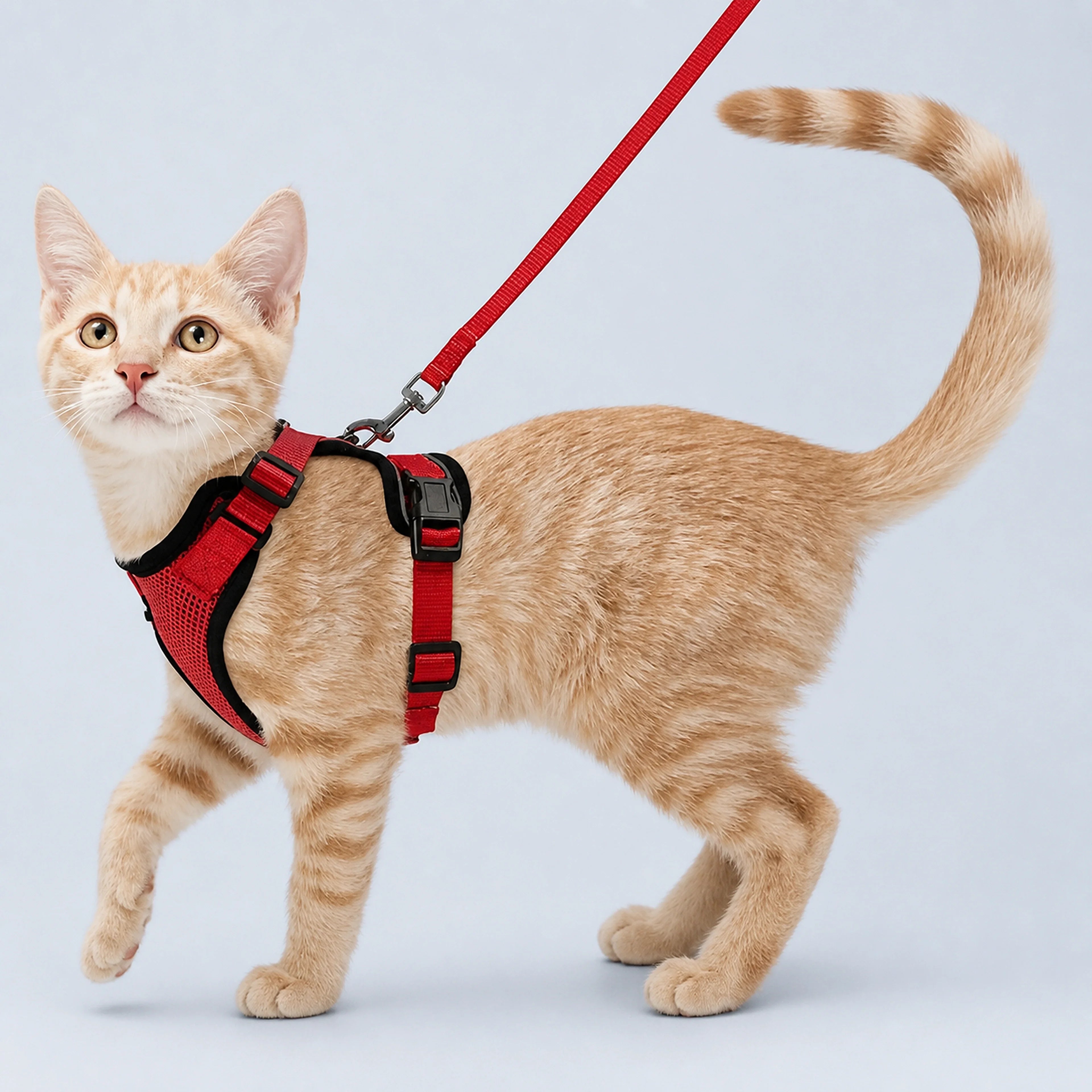 Adjustable Cat Harness Vest for Walking | ALDERKIN
