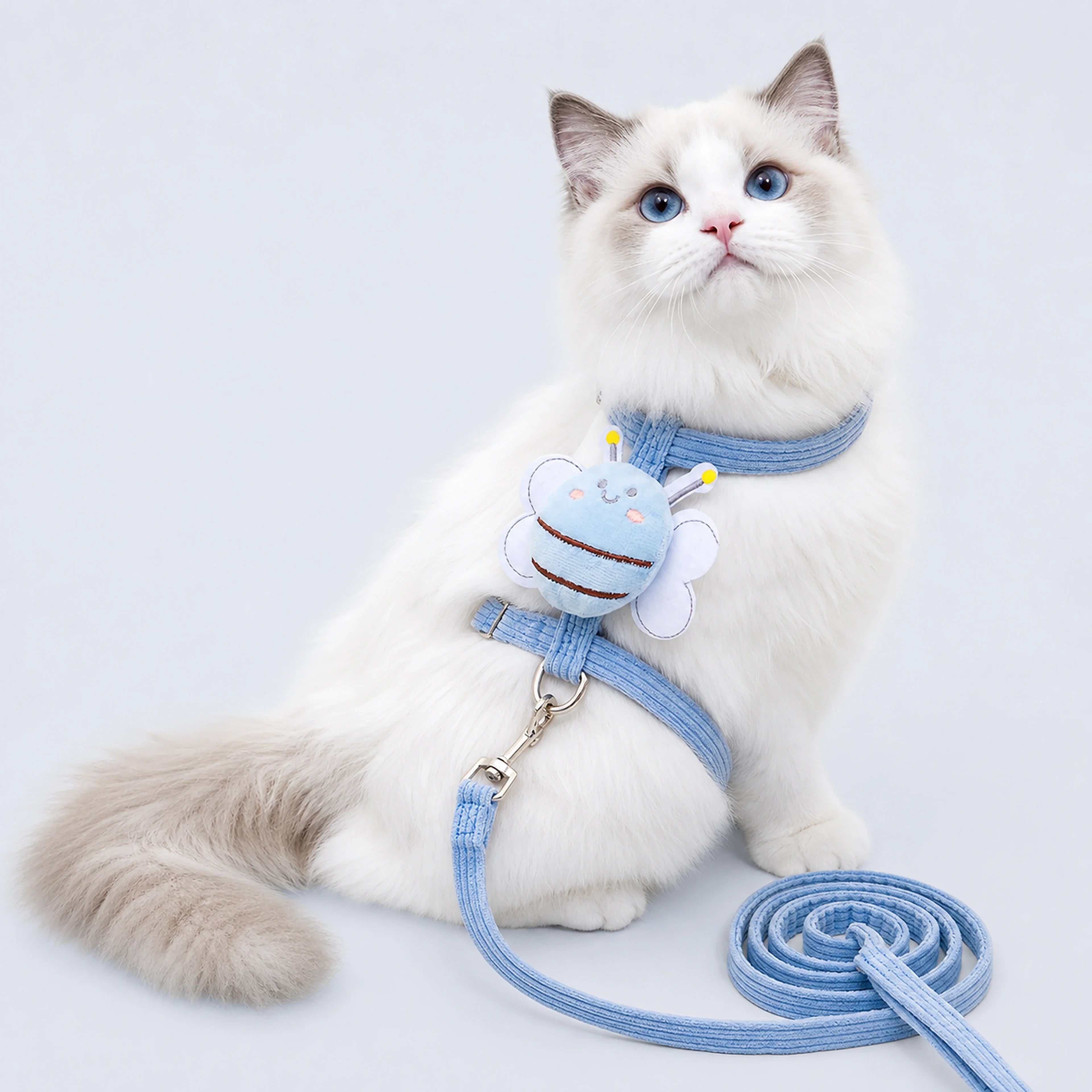 White cat wearing a light-blue adjustable harness and leash set on a cool gray-blue background