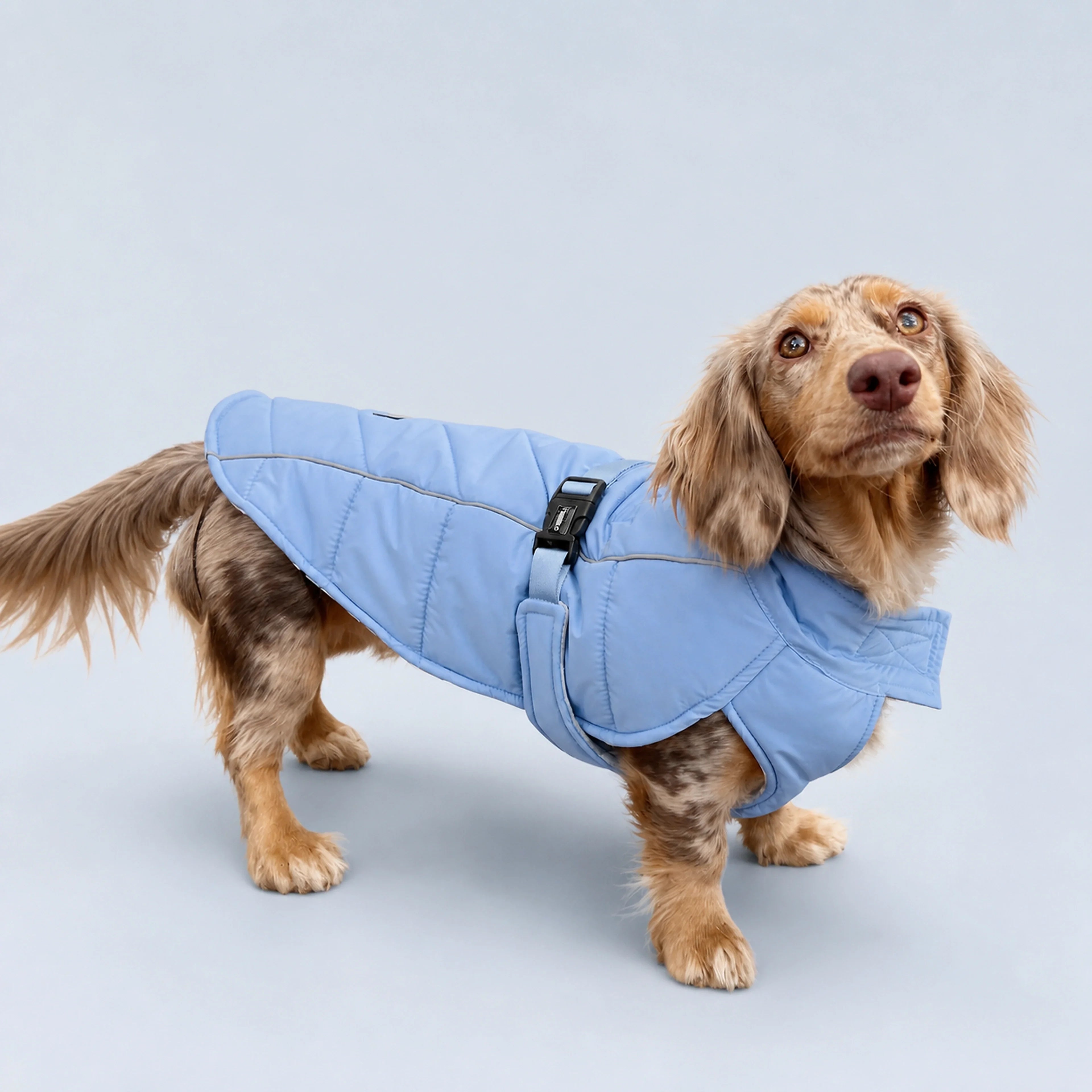 Adjustable Insulated Dog Coat – 3 Colors, 4 Sizes | ALDERKIN