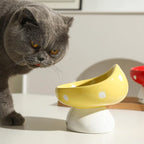 200ml Elevated Ceramic Cat Feeding Bowl