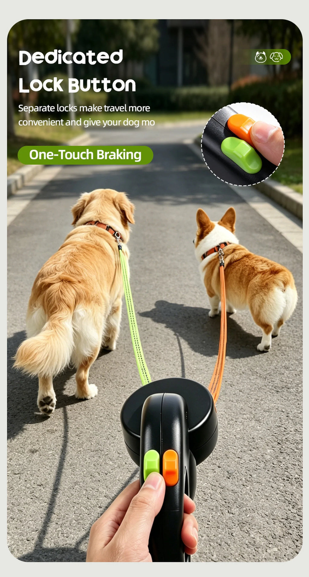 Independent lock buttons for two ALDERKIN leash leads
