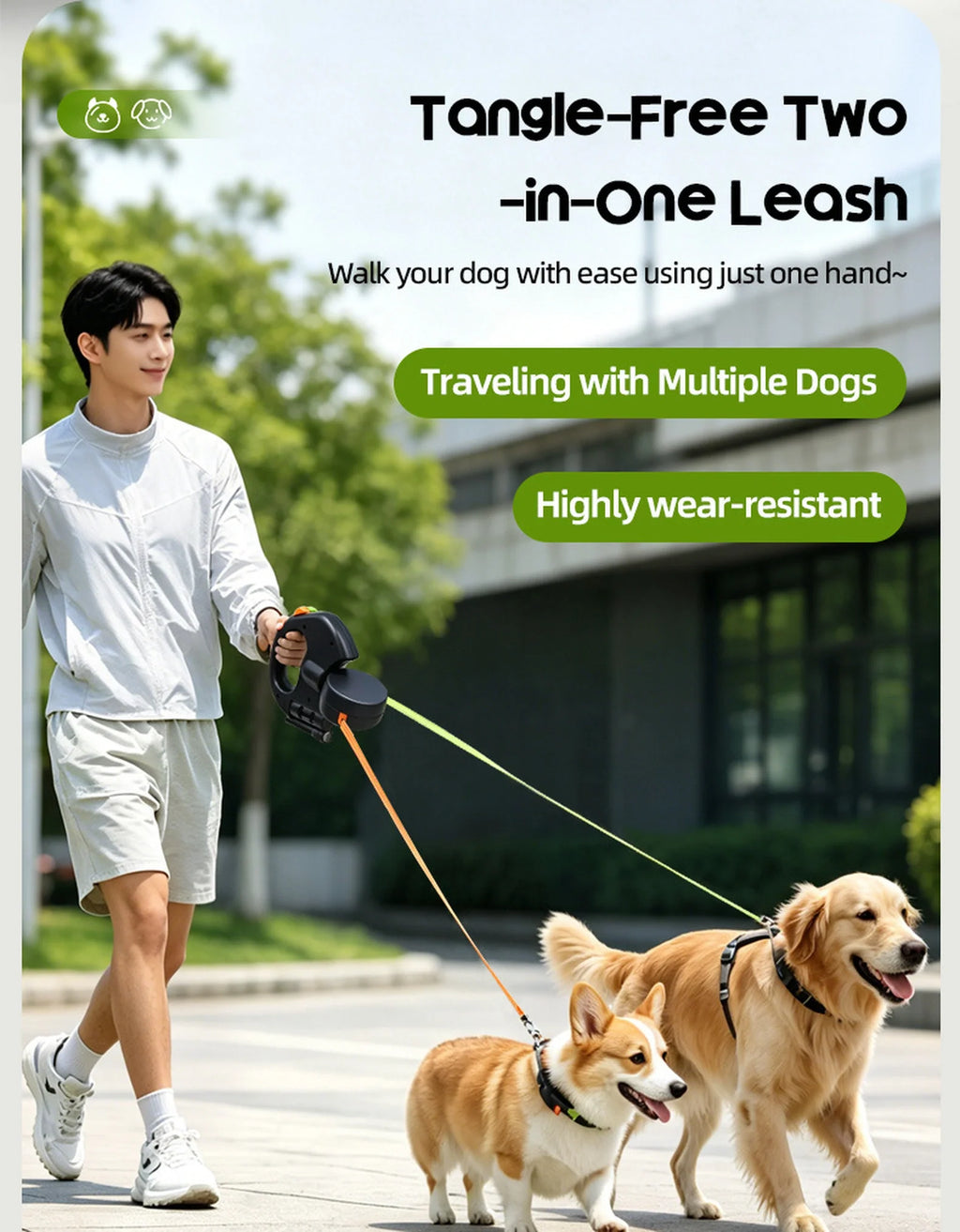 ALDERKIN leash used for walking two dogs