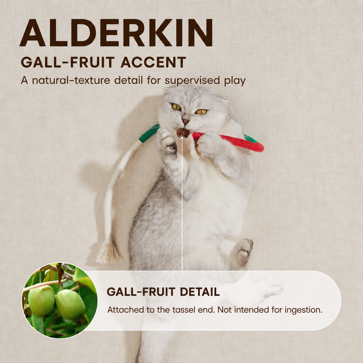 Cat holding a flexible rope toy with tassels and a gall-fruit accent