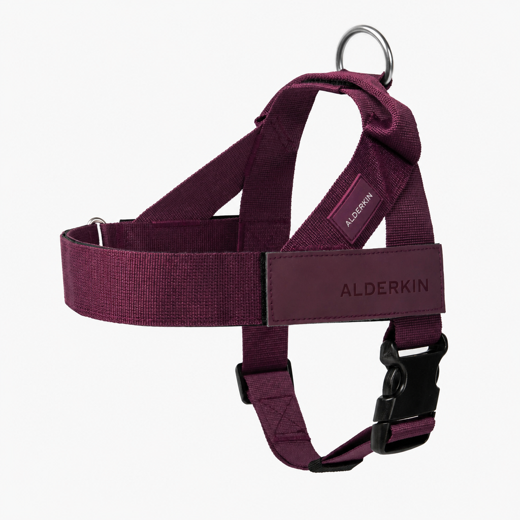 ALDERKIN adjustable dog walking harness in burgundy