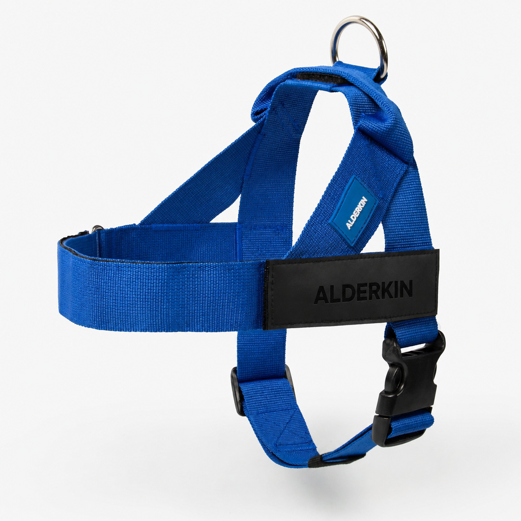 ALDERKIN adjustable dog walking harness in classic blue