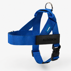 ALDERKIN adjustable dog walking harness in classic blue