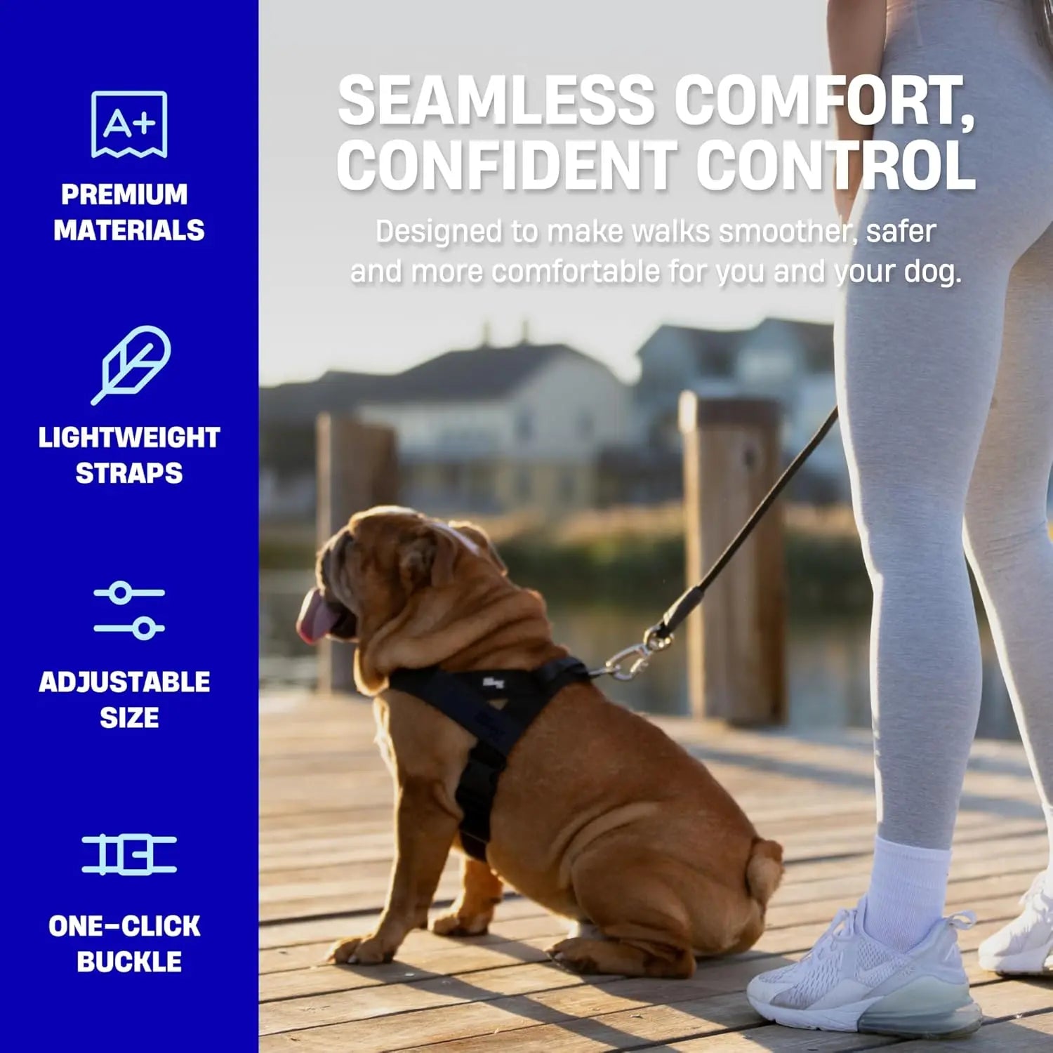 Dog wearing a lightweight adjustable harness during a walk
