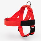 ALDERKIN adjustable dog walking harness in red