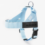 ALDERKIN adjustable dog walking harness in sky blue