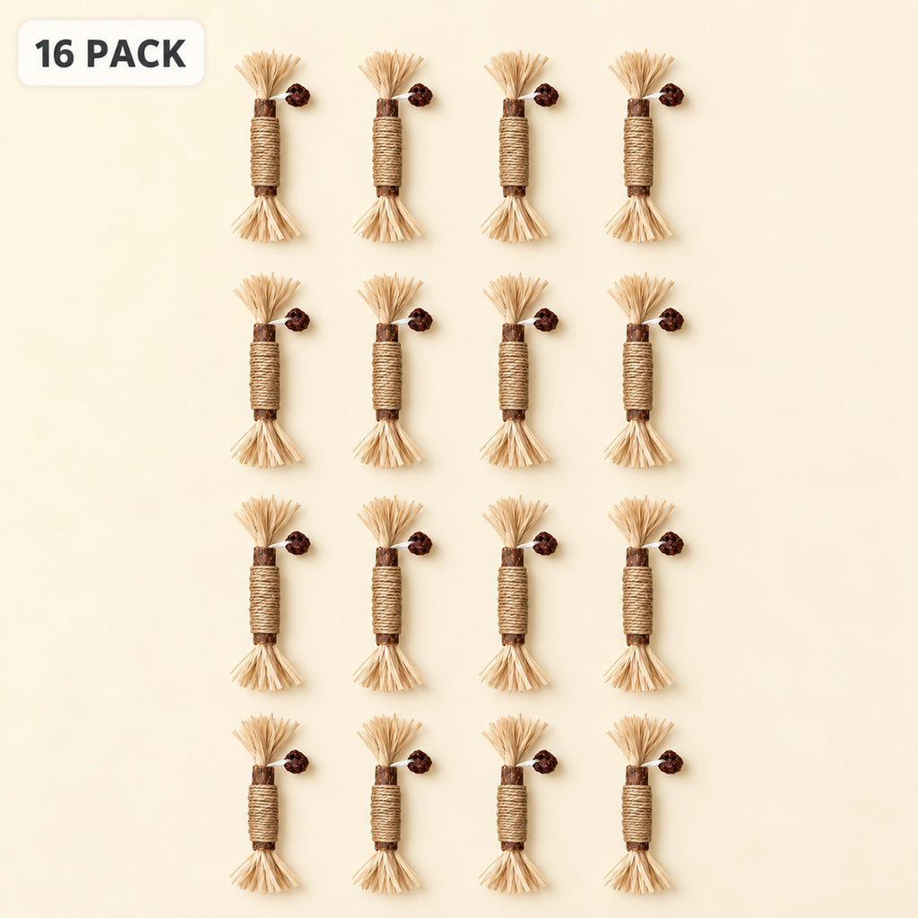 Sixteen-pack of natural silvervine chew sticks arranged in four rows