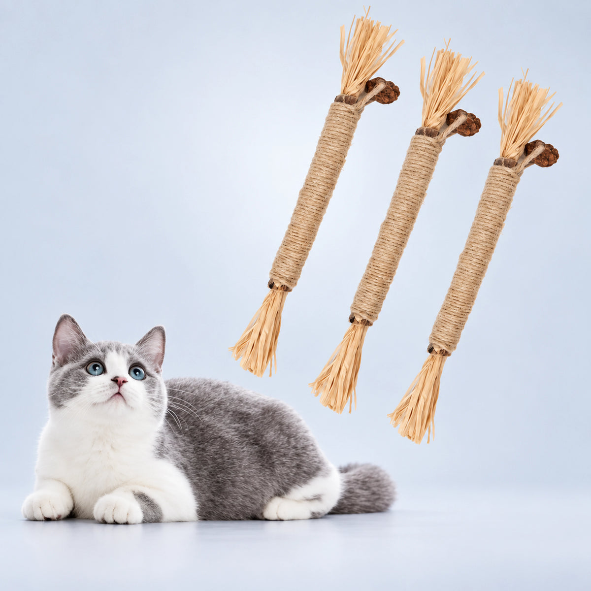Gray and white cat beside three natural silvervine chew sticks on a pale blue studio background