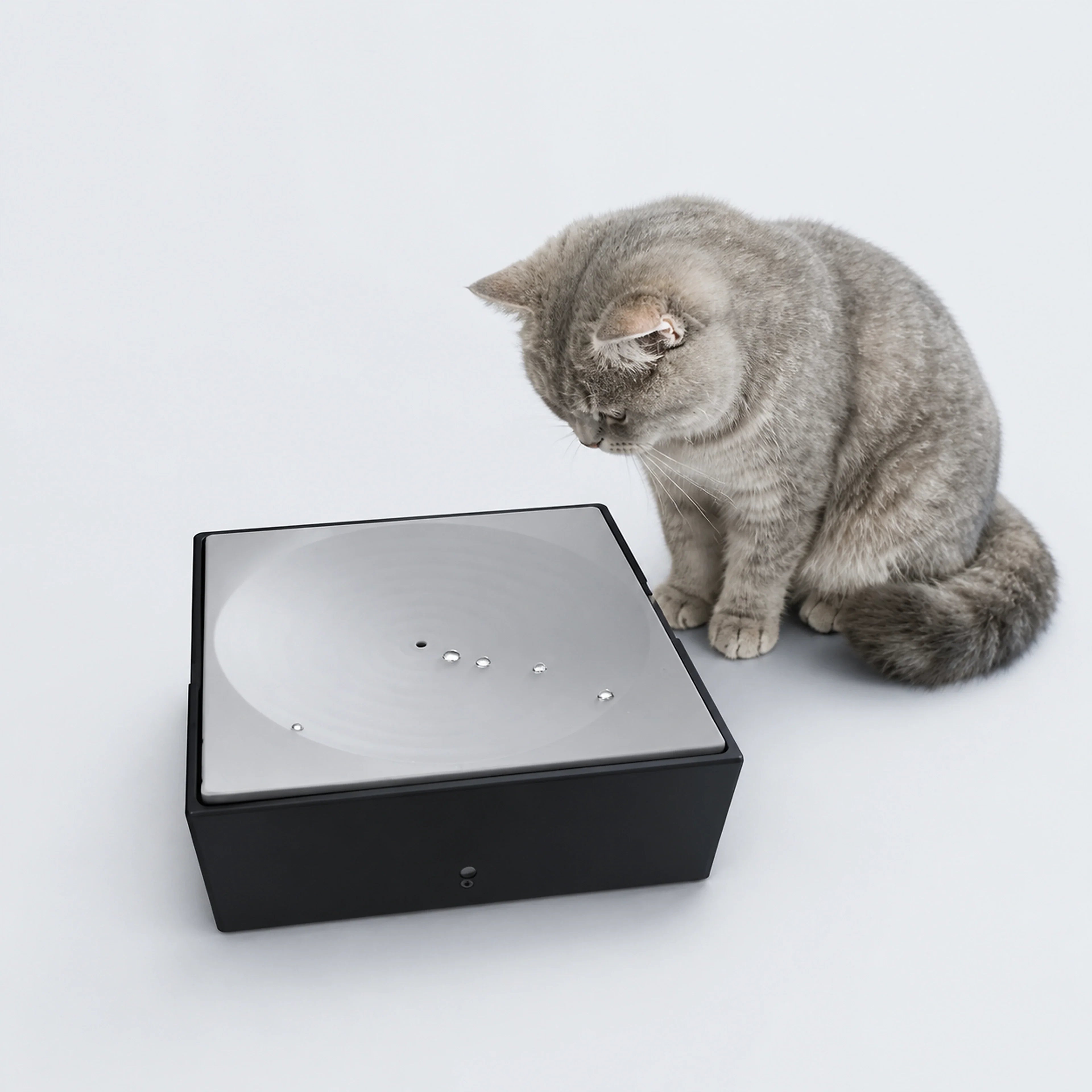 Automatic water-droplet cat teaser with a gray cat on a cool gray-blue background