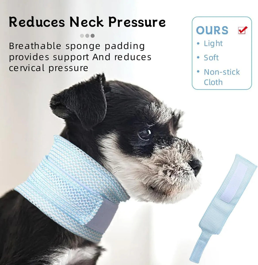 Breathable Adjustable Elizabethan Recovery Collar for Cats