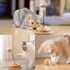 Spring-Mounted Interactive Cat Treat Dispenser Toy