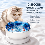 Magnetic-Drive Cat Water Fountain with Stainless Steel Bowl