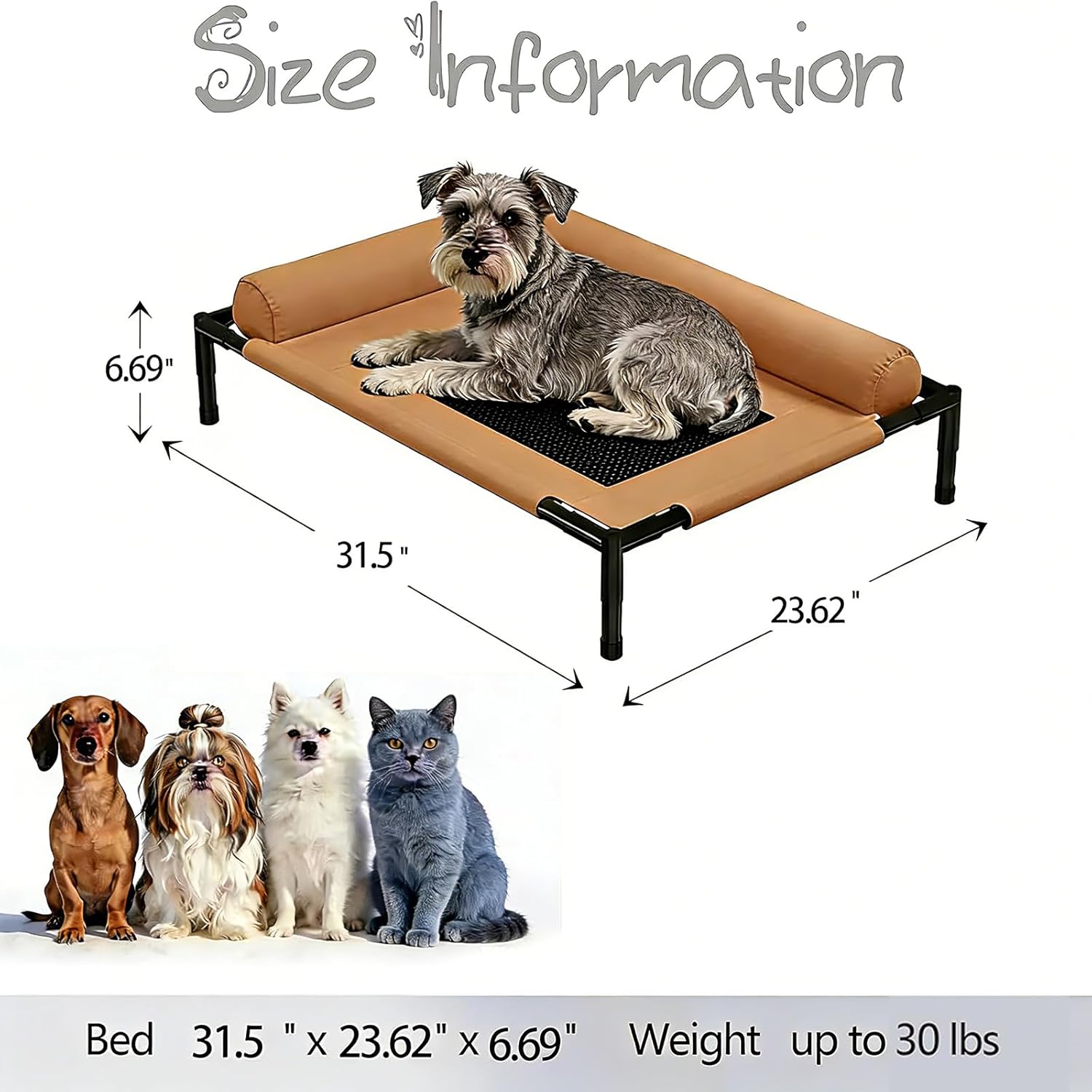 Elevated Pet Bed with Padded Safety Bolsters – 3 Styles