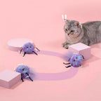 Interactive Plush Ball Toy for Cats