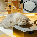 Interactive Water Droplet Cat Teaser – Single or 2-Color Set