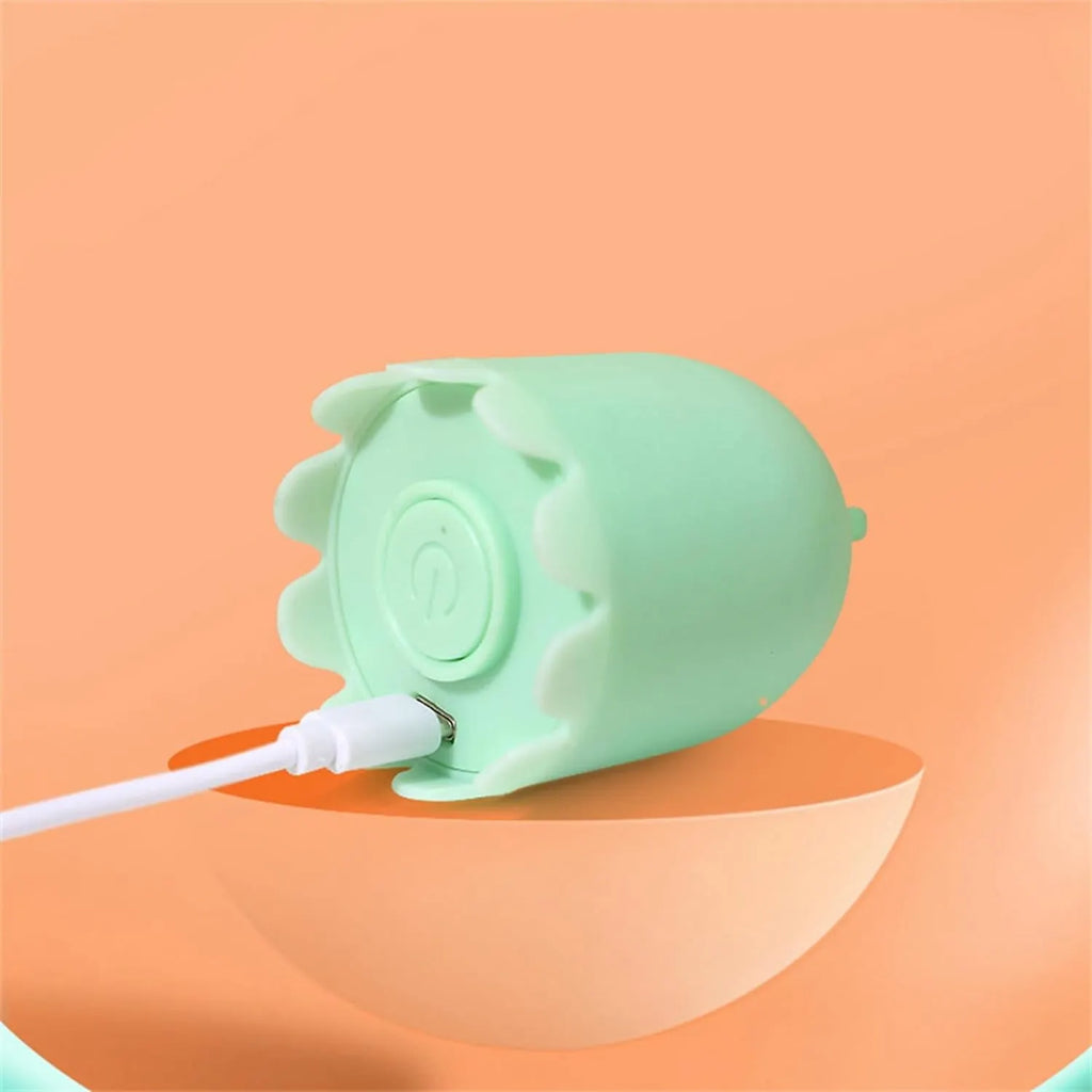Automatic Silicone Tail Cat Teaser Toy – 2-in-1 Play
