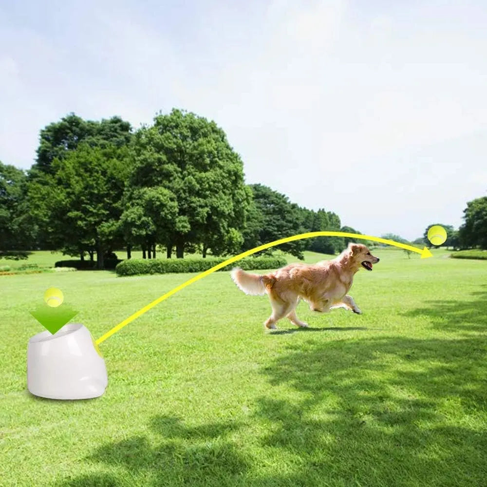 Automatic Dog Ball Launcher for Interactive Fetch