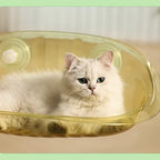 Clear Suction Cup Cat Window Bubble Bed – Single or 2-Pack
