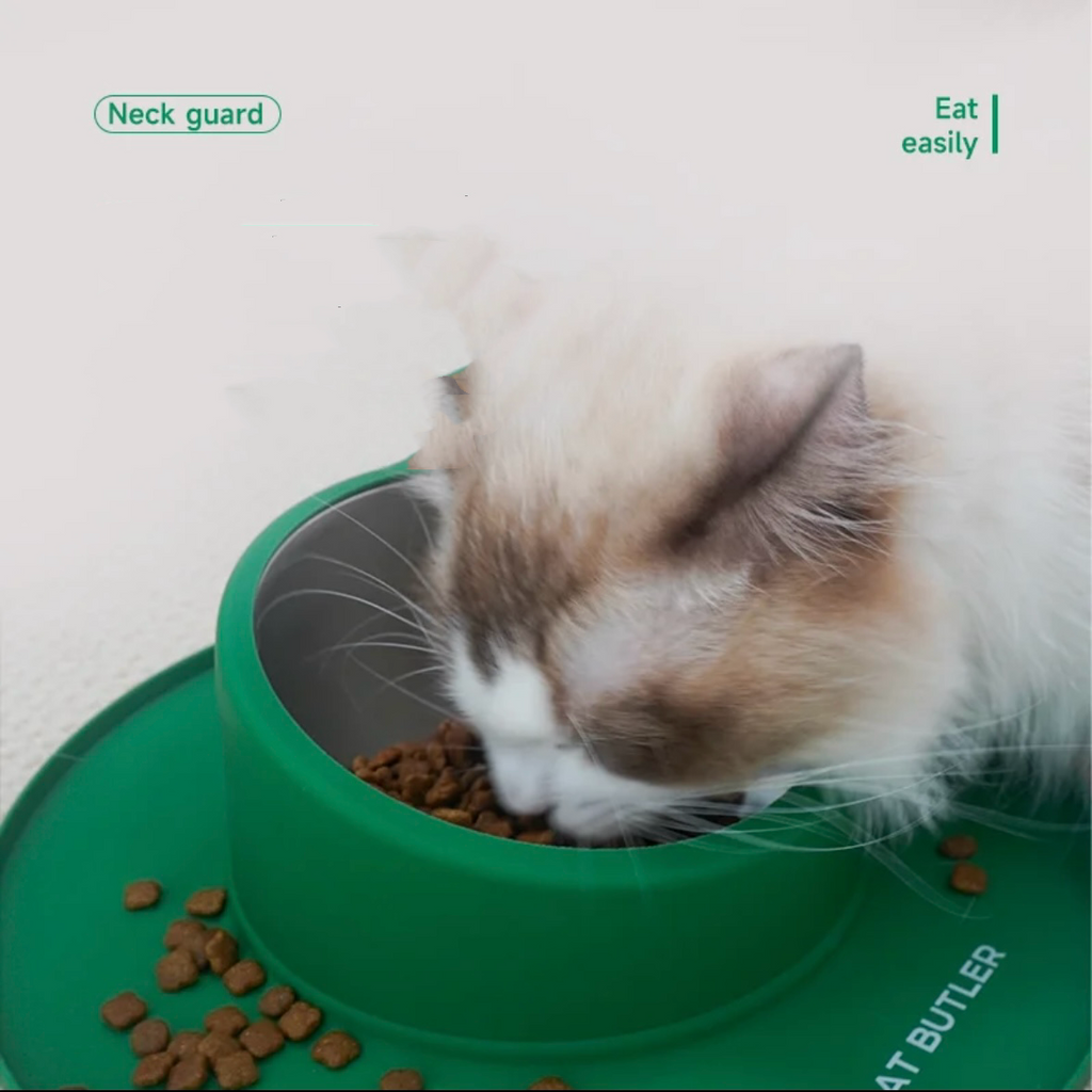 Anti-Rollover Cat Bowl Set