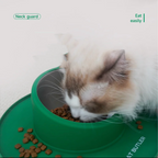 Anti-Rollover Cat Bowl Set