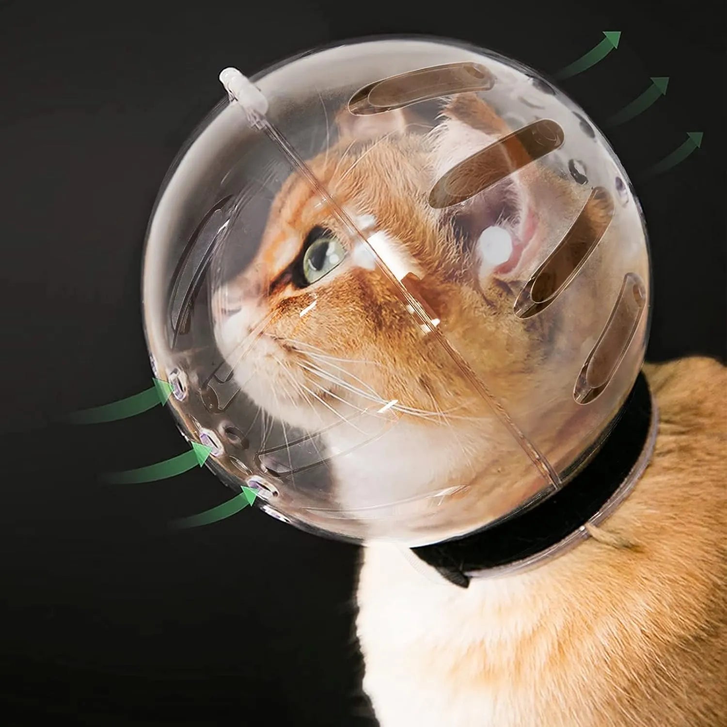 Transparent Breathable Cat Grooming Hood – M to XL