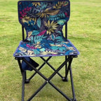 Portable Folding Chair for Cats & Small Pets with Carry Bag