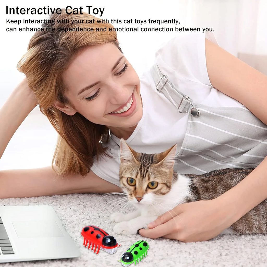 Electronic Crawling Bug Cat Toys – Random Colors, 2–6 Pack