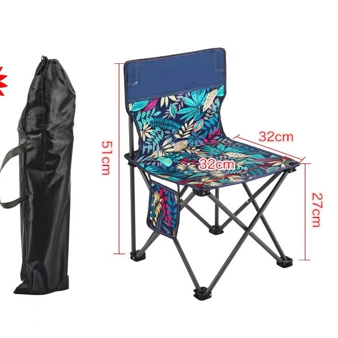 Portable Folding Chair for Cats & Small Pets with Carry Bag