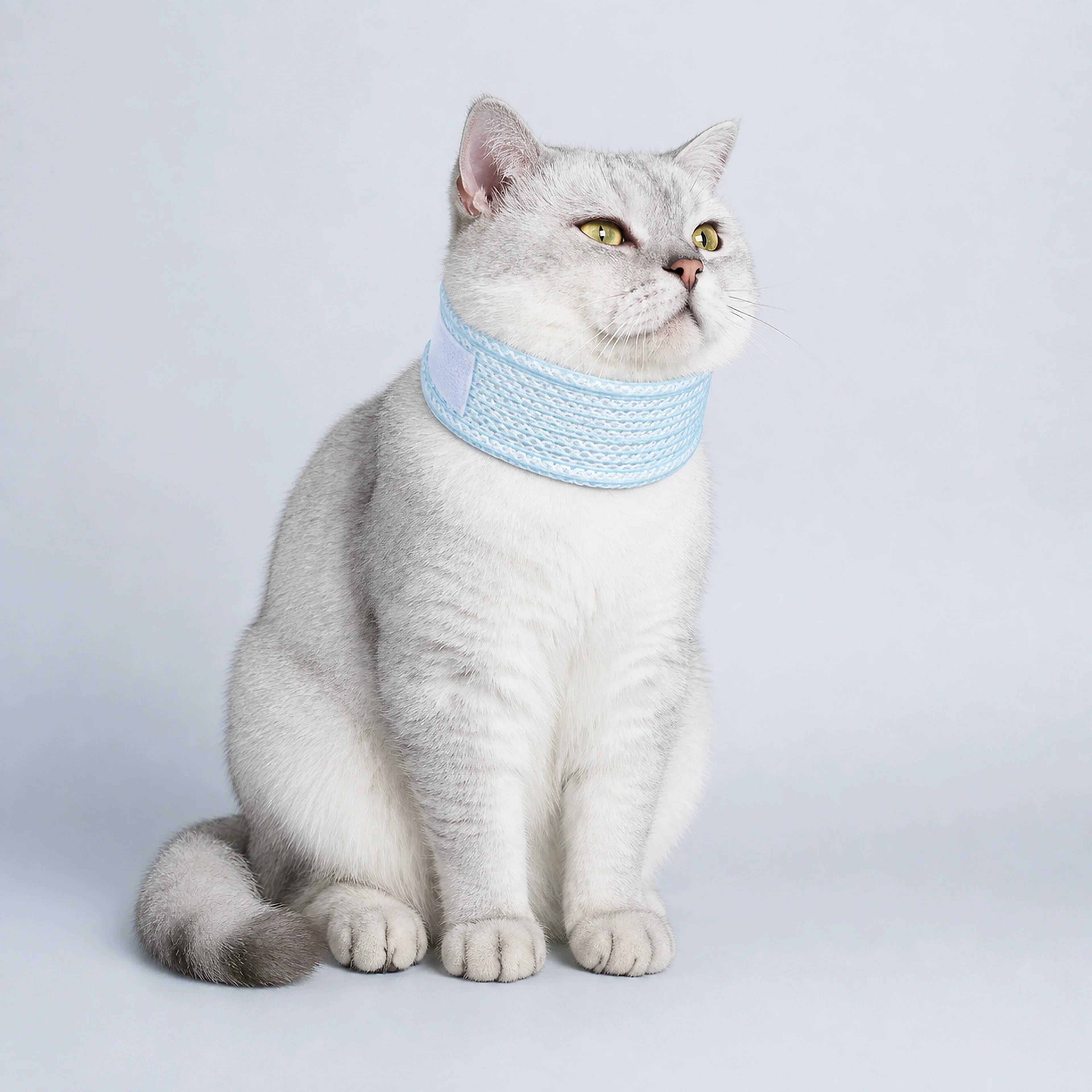 Breathable Adjustable Elizabethan Recovery Collar for Cats | ALDERKIN