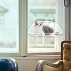 Clear Suction Cup Cat Window Bubble Bed – Single or 2-Pack