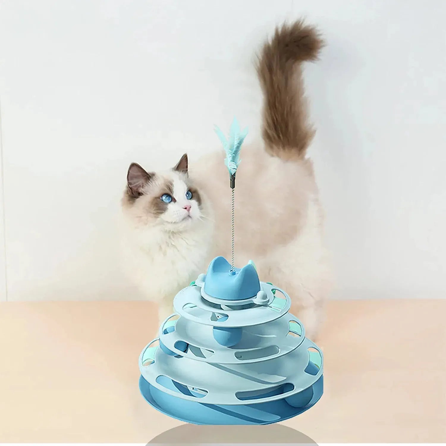 Circular Track Ball Cat Toy – 3 Colors