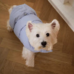 Reversible Blue & Silver Dog Puffer Jacket – 5 Sizes