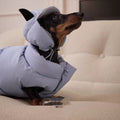 Reversible Blue & Silver Puffer Hood for Dogs – 3 Sizes
