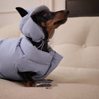 Reversible Blue & Silver Puffer Hood for Dogs – 3 Sizes