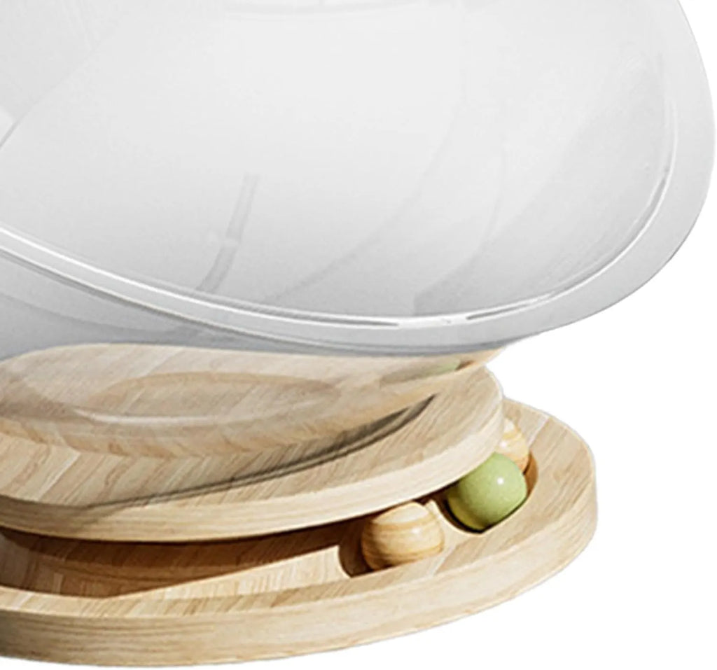 Transparent Space Capsule Cat Bed – 3 Sizes