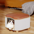 Two-Level Cat Nest Stool with Scratching Posts
