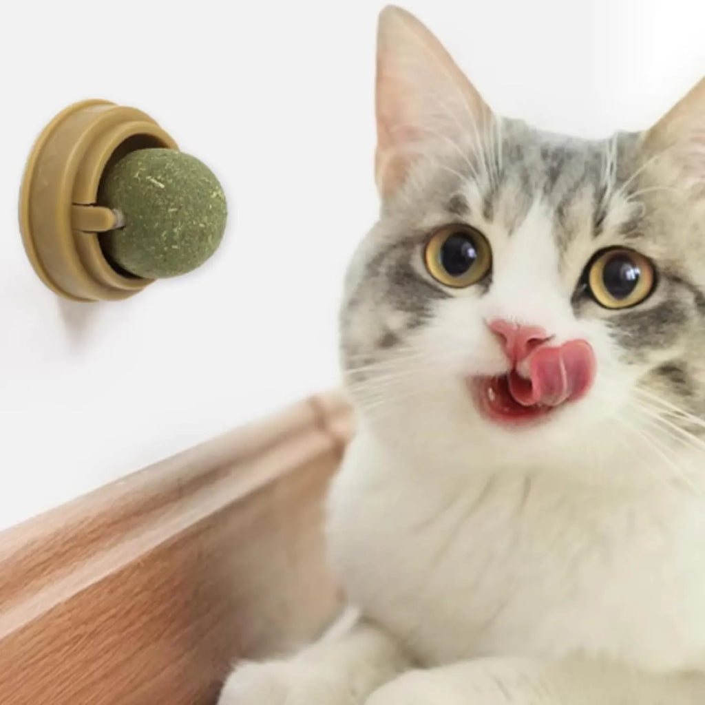 Wall-Mounted 360° Rotating Catnip Ball – 1 or 3 Pack