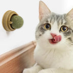Wall-Mounted 360° Rotating Catnip Ball – 1 or 3 Pack