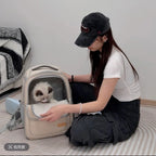 Structured Mesh-Front Pet Carrier Backpack – 3 Styles