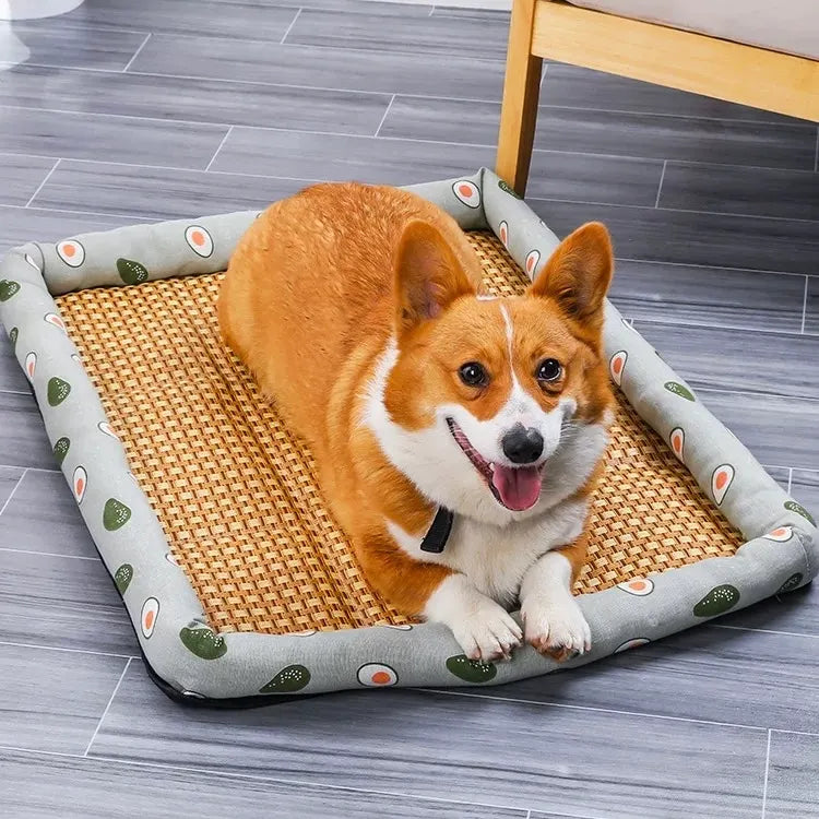 Rattan-Weave Pet Cooling Mat with Bolster – 5 Styles, 5 Sizes